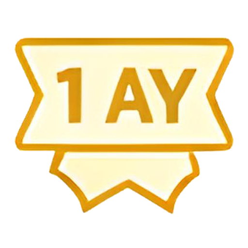 1 Yıllık